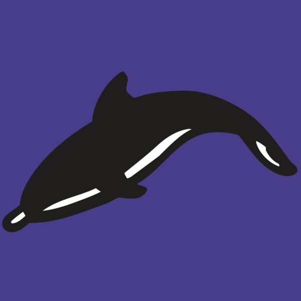 AR DOLPIN 16 RC Thumbnail