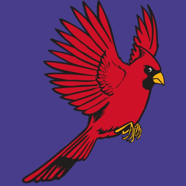 BAW CARDINAL 19 RC Thumbnail