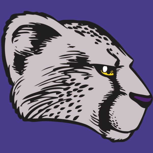 BAW CHEETAH 20 RC Thumbnail