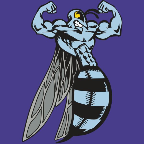 BAW BEE 08 RC Thumbnail