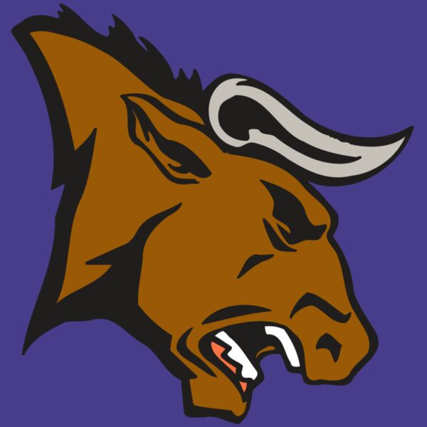 AR BULL 38 RC Thumbnail