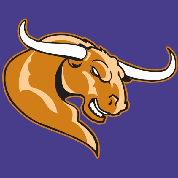 AR BULL 14 RC Thumbnail