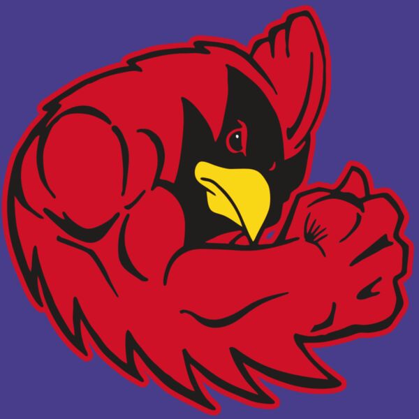 AR CARDINAL 29 RC Thumbnail