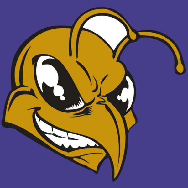 BAW BEE 18 RC Thumbnail