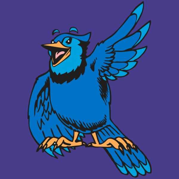 BAW BLUEJAY 06 RC Thumbnail