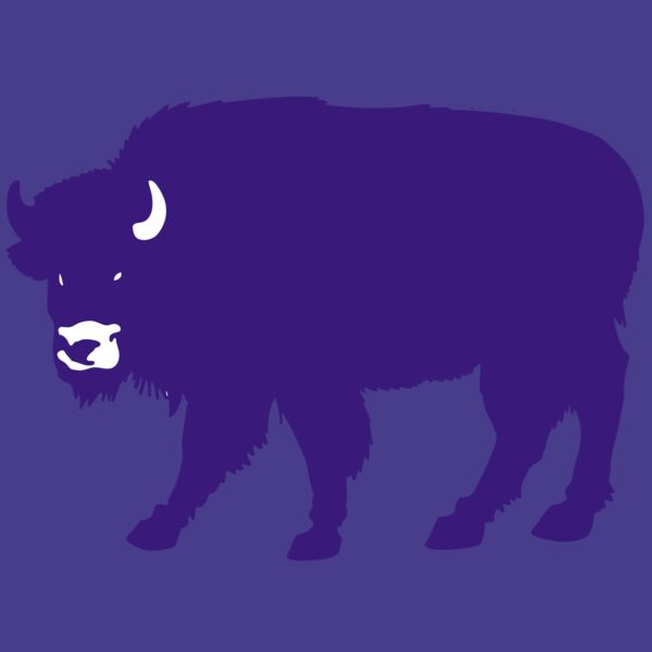 AR BUFF 23 RC Thumbnail