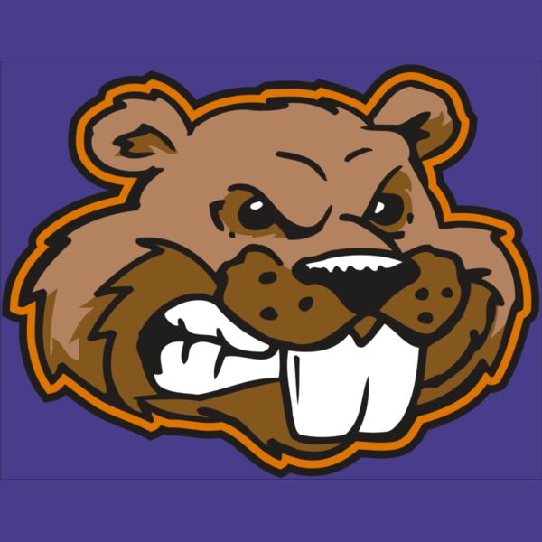 AR BEAVER 11 RC Thumbnail