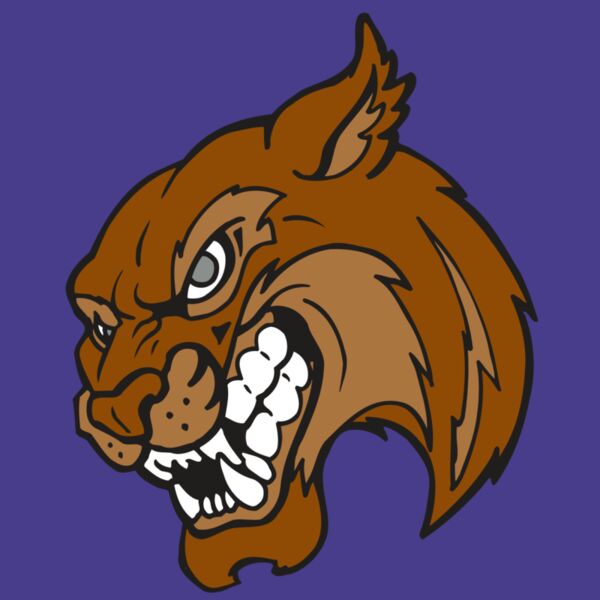 AR5 BOBCAT 07 RQC Thumbnail