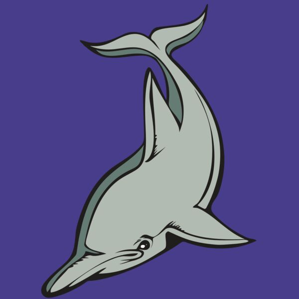 BAW DOLPHIN 01 RC Thumbnail