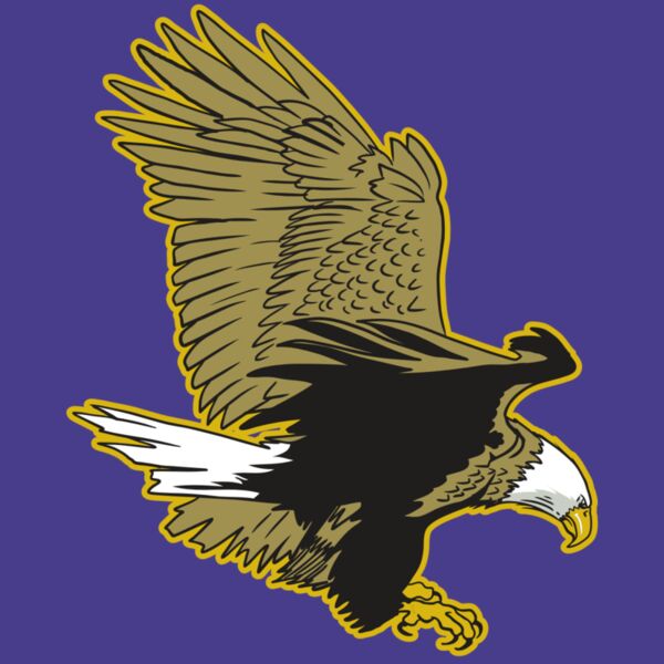 AR10 EAGLE 01 RQC Thumbnail