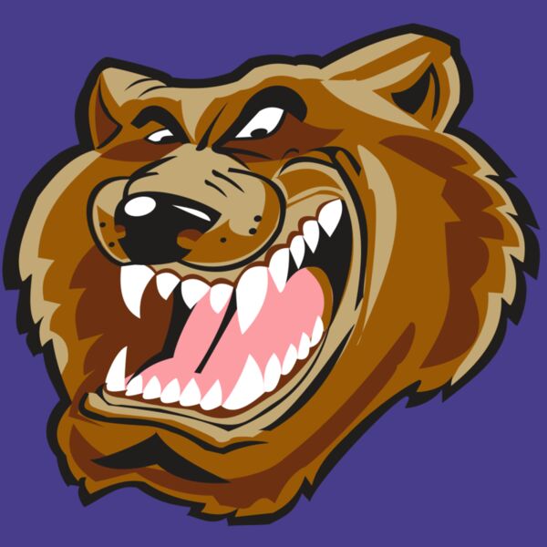 BEAR HD0503 RQC Thumbnail