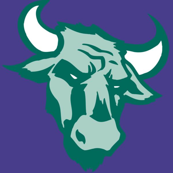 AR BULL 37 RC Thumbnail