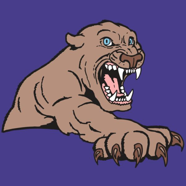 AR5 COUGAR 20 RQC Thumbnail