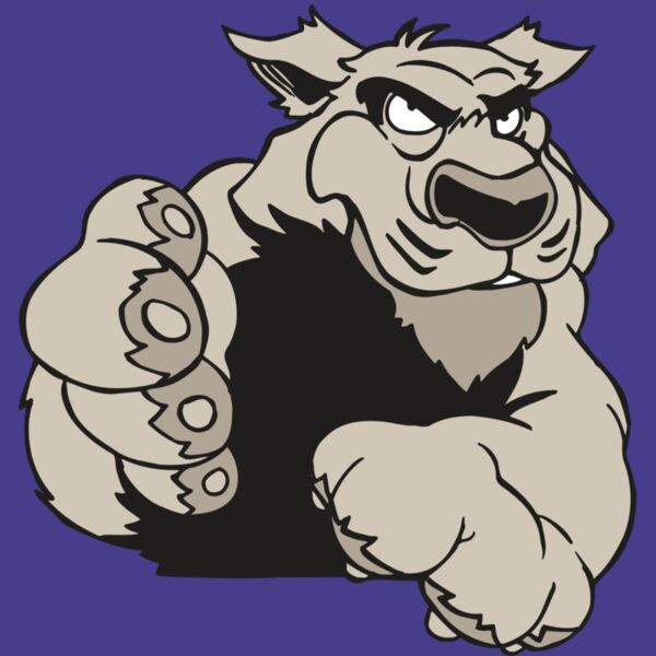 AR5 COUGAR 21 RQC Thumbnail