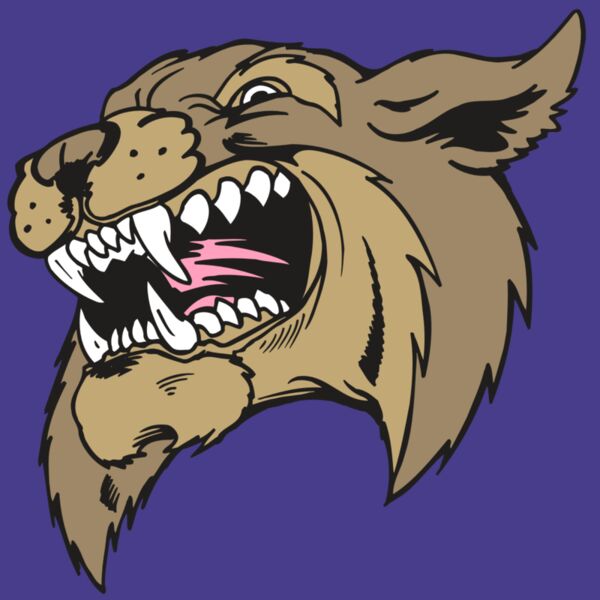 AR5 BOBCAT 09 RQC Thumbnail