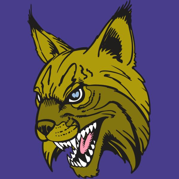 BAW BOBCAT 05 RC Thumbnail