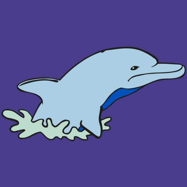 AR DOLPIN 14 RC Thumbnail