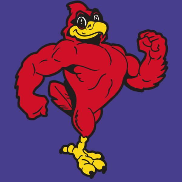 AR CARDINAL 41 RC Thumbnail