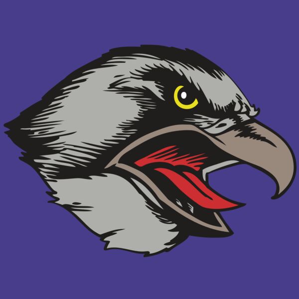 BAW HWK FLCN 13 RC Thumbnail