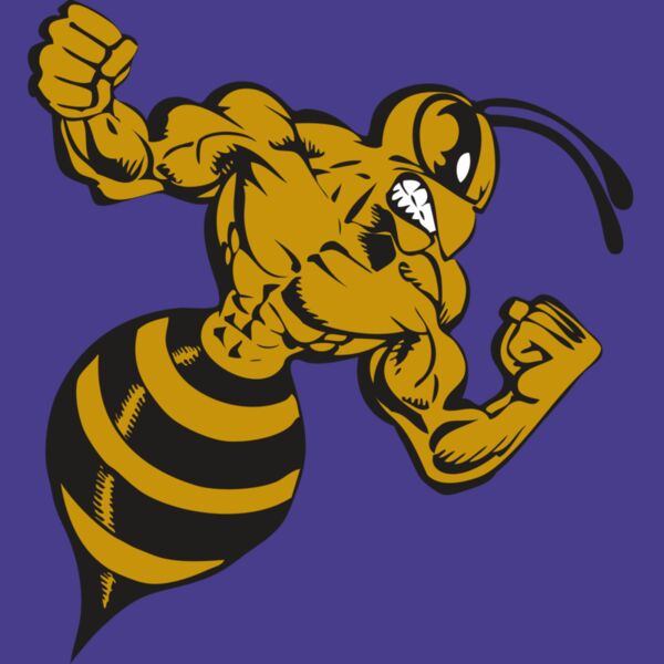 BAW BEE 01 RC Thumbnail