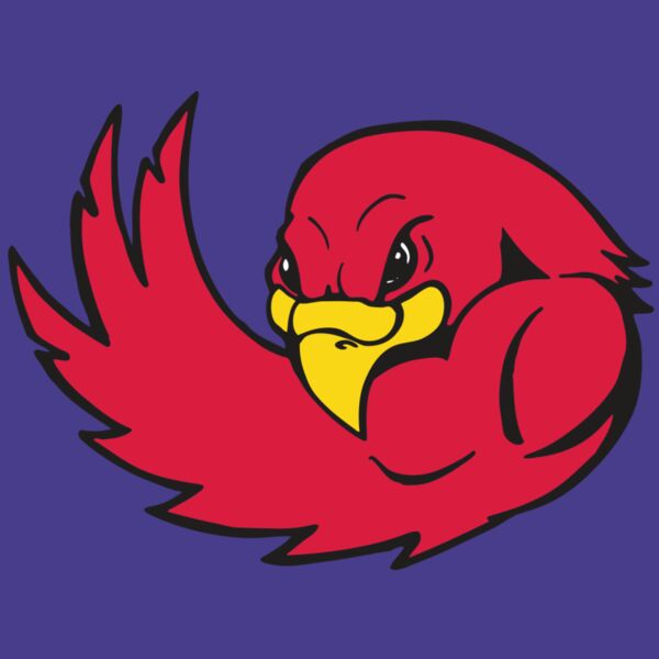 AR FALCON 18 RC Thumbnail