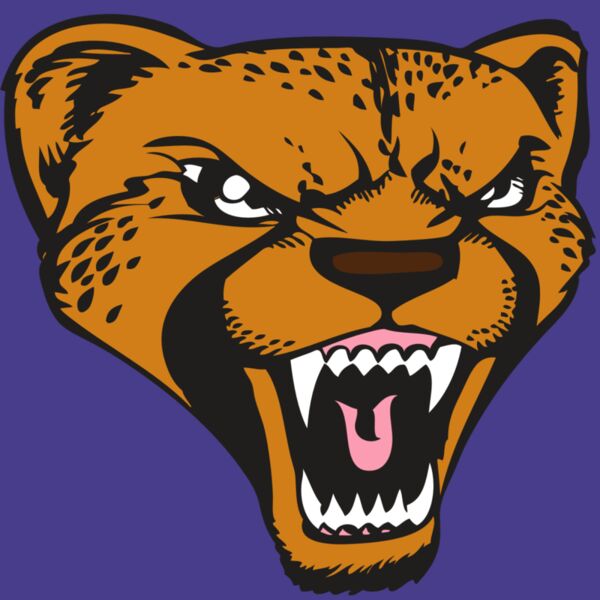 BAW CHEETAH 12 RC Thumbnail