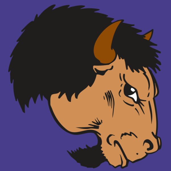 AR BUFFALO 16 RC Thumbnail