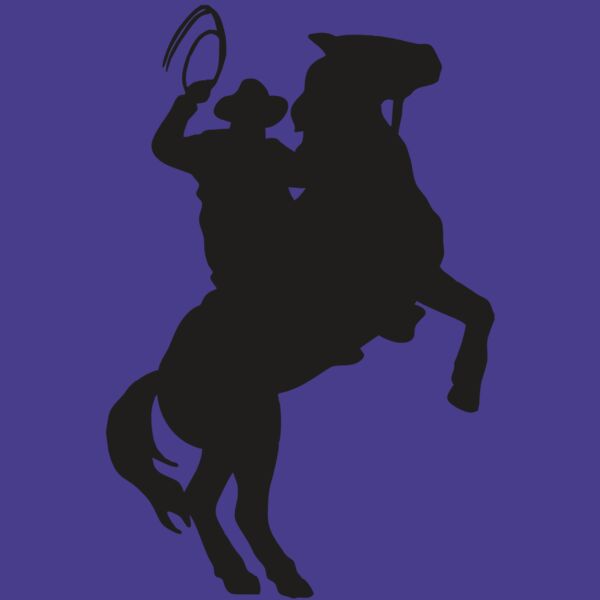 AR COWBOY 26 RC Thumbnail