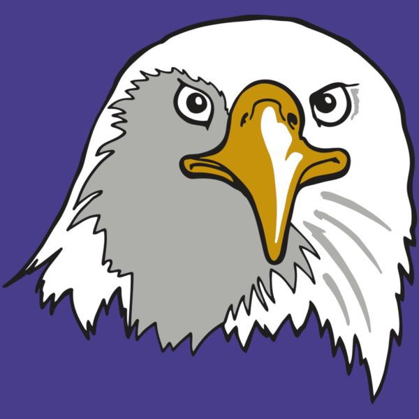 AR EAGLE 39 RC Thumbnail