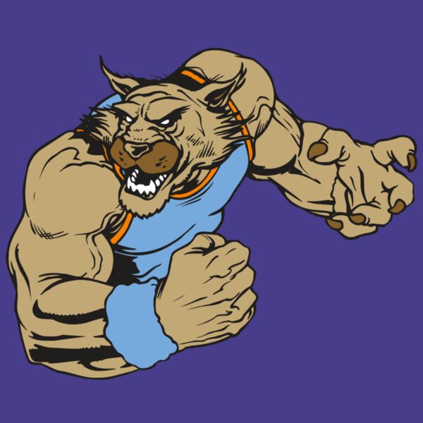 AR WILDCAT 46 RC Thumbnail