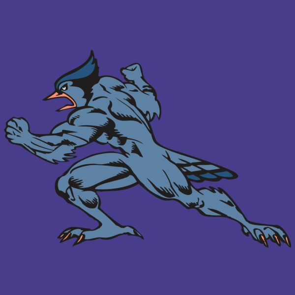 BAW BLUEJAY 15 RC Thumbnail