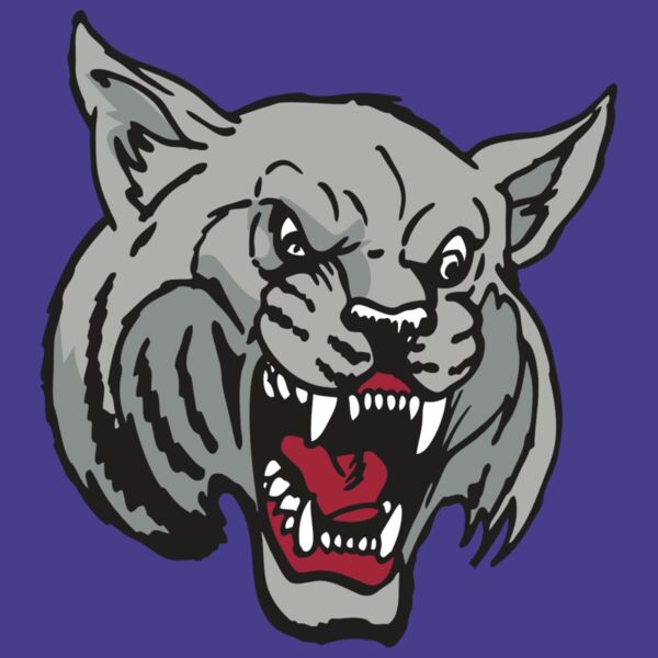 AR WILDCAT 42 RC Thumbnail