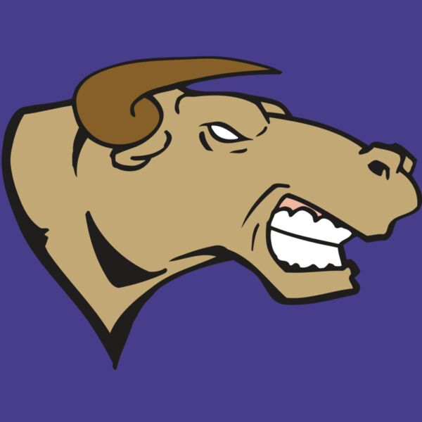 AR BULL 30 RC Thumbnail