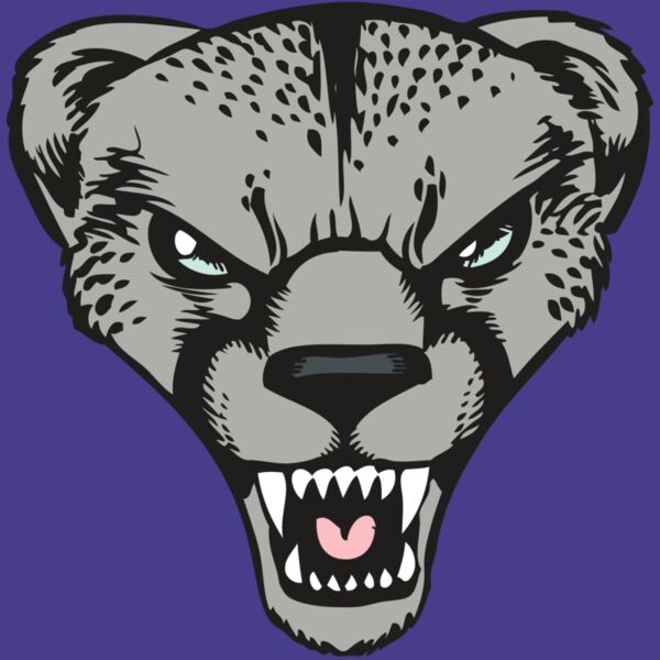 BAW CHEETAH 15 RC Thumbnail