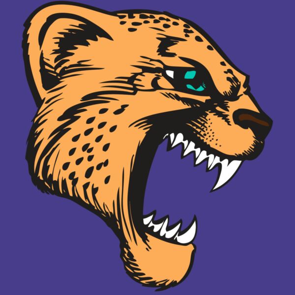 BAW CHEETAH 11 RC Thumbnail