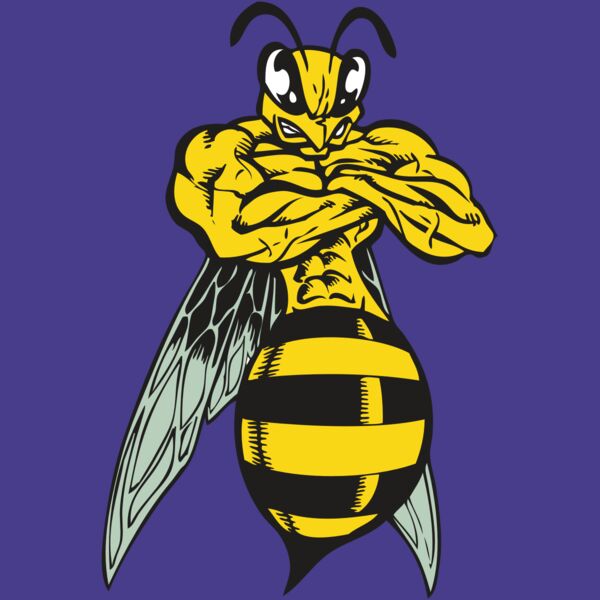 BAW BEE 16 RC Thumbnail