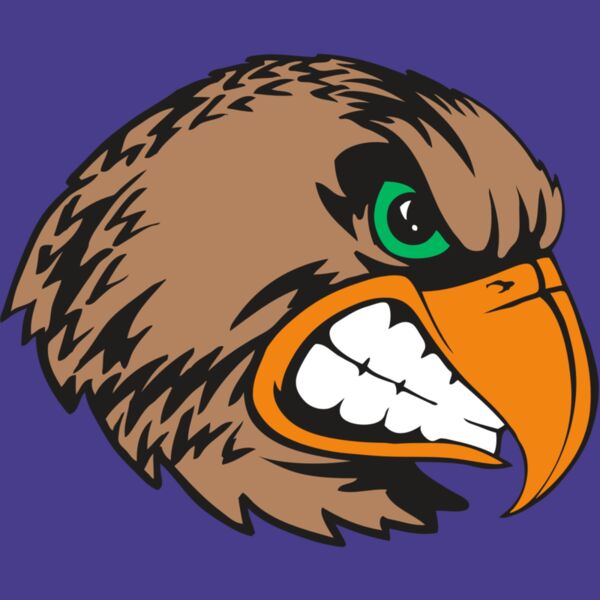 BAW HWK FLCN 09 RC Thumbnail