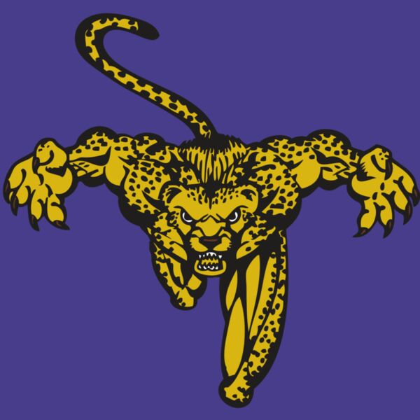 BAW CHEETAH 08 RC Thumbnail