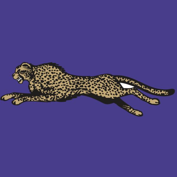 BAW CHEETAH 01 RC Thumbnail