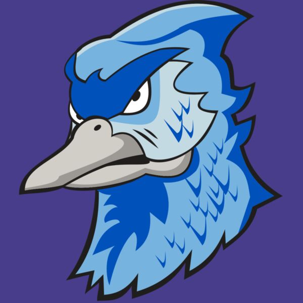 BLUEJAY HD0501 RQC Thumbnail