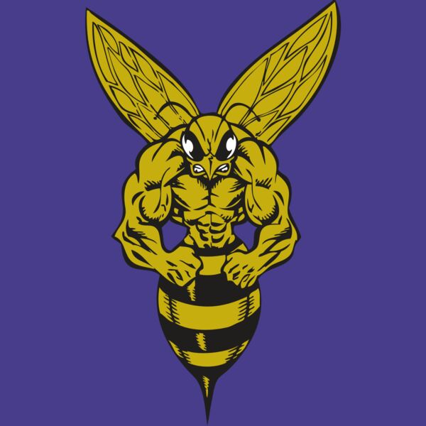 BAW BEE 06 RC Thumbnail