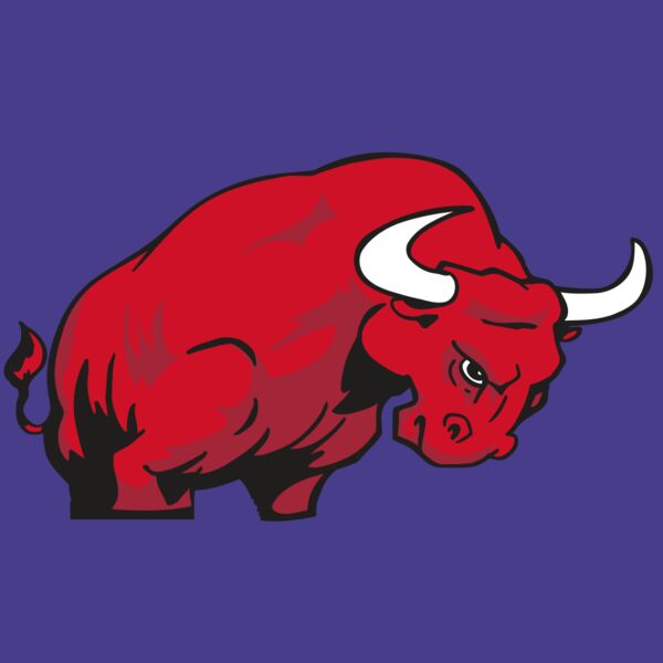 AR BULL 12 RC Thumbnail