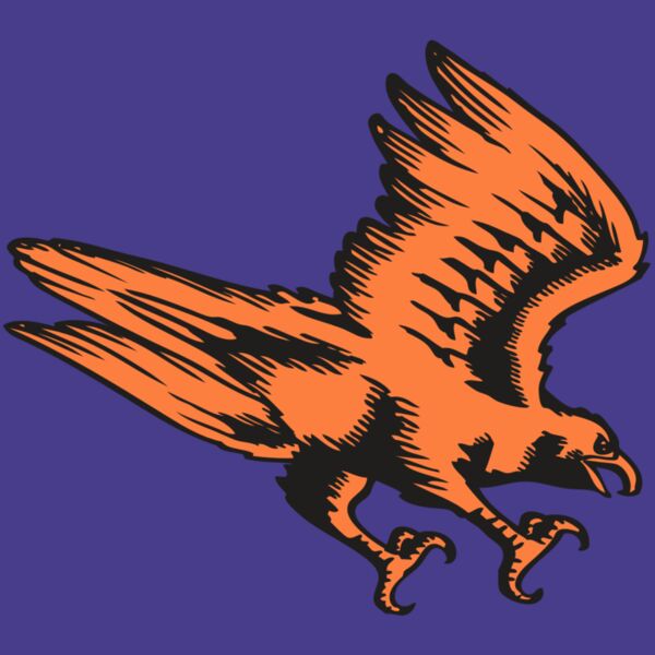 BAW HWK FLCN 04 RC Thumbnail