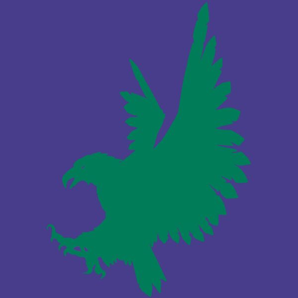 AR EAGLE 88 RC Thumbnail