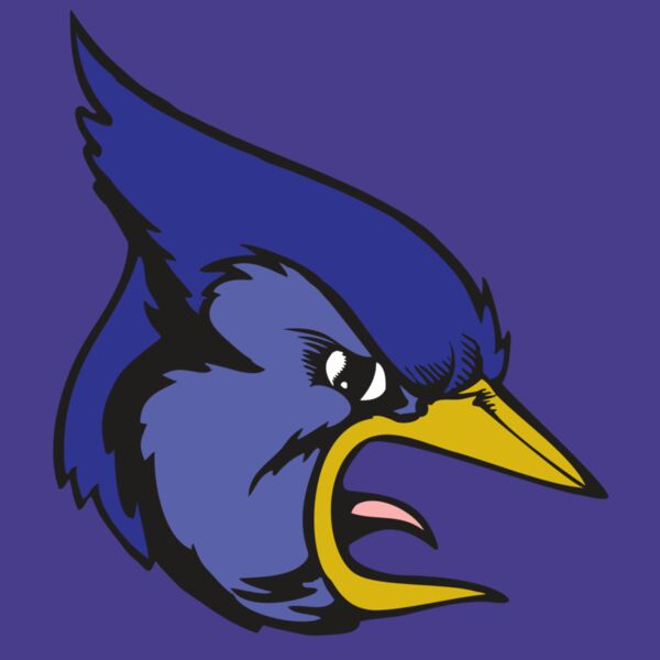 BAW BLUEJAY 04 RC Thumbnail