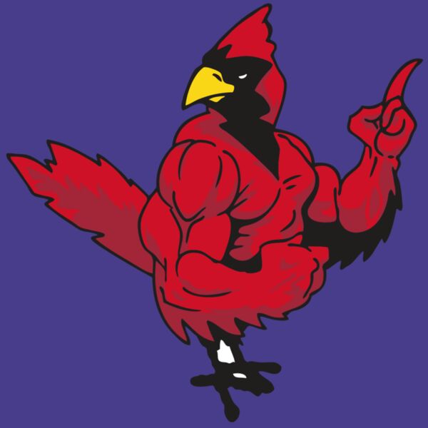 AR CARDINAL 27 RC Thumbnail