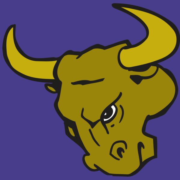 AR BULL 26 RC Thumbnail