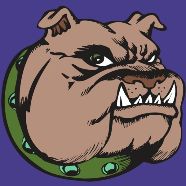 BAW BULLDOG 14 RC Thumbnail