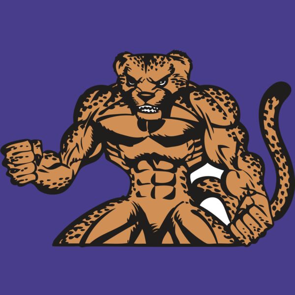 BAW CHEETAH 07 RC Thumbnail