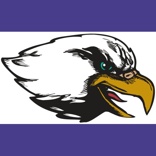 BAW EAG 09 RC Thumbnail